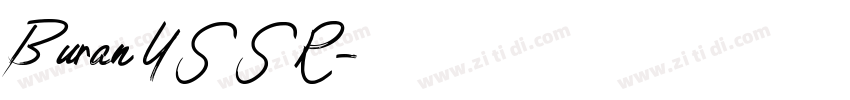 Buran USSR字体转换